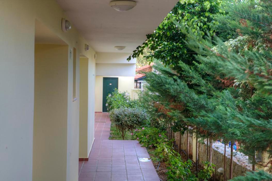 Agia Marina Margarita Beach Hotel מראה חיצוני תמונה